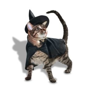 Petco Witch 2-Piece Cat Halloween Costume