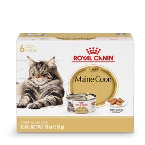 Royal Canin Feline Breed Nutrition Maine Coon Adult Thin Slices in Gravy Cat Food