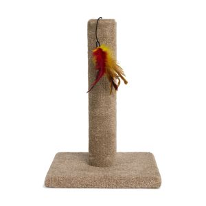 EveryYay Carpeted Cat Scratch Post with Feather Toy