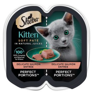 Sheba Perfect Portions Salmon Entree Kitten Wet Cat Food Pate