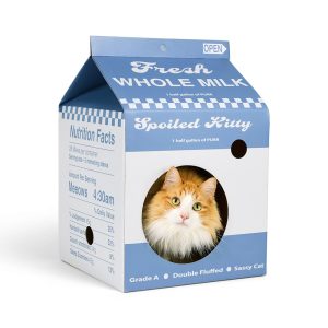 EveryYay Milk Carton Cat Scratch Condo