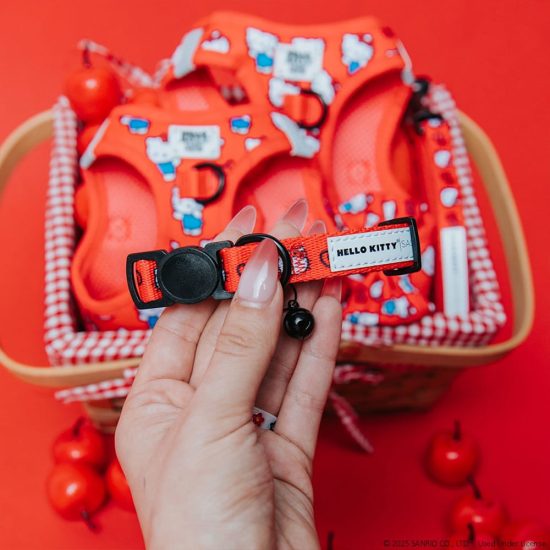 4612186-center-5.jpg
