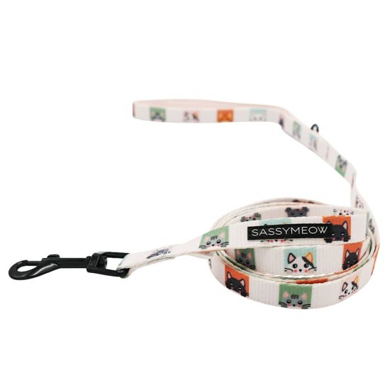 4631029-center-1.jpg