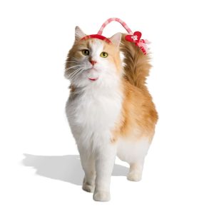 YOULY Valentine's Day Cat Headpiece