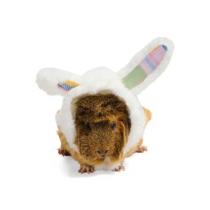 YOULY Easter Bunny Small Animal Hoodie