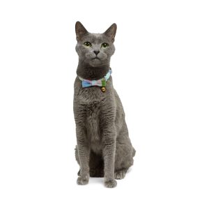 YOULY Easter Breakaway Cat Collar