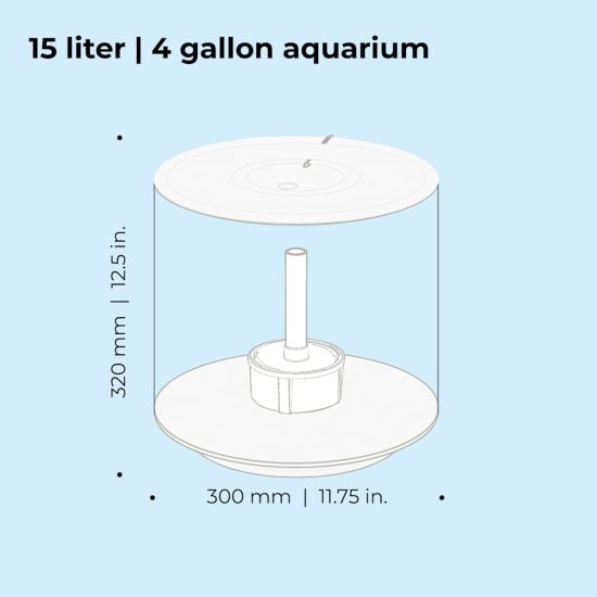 4667460-center-4.jpg 4667460-center-4.jpg