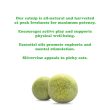4677289-center-3.jpg