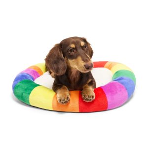 EveryYay Pride Rectangle Mat Cat Bed