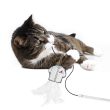 4688156-center-4.jpg
