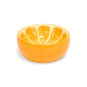 EveryYay Orange Slices Ceramic Cat Bowl
