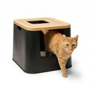 So Phresh Dual Entry with Top Exit Cat Litter Box