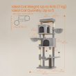 4719848-center-5.jpg