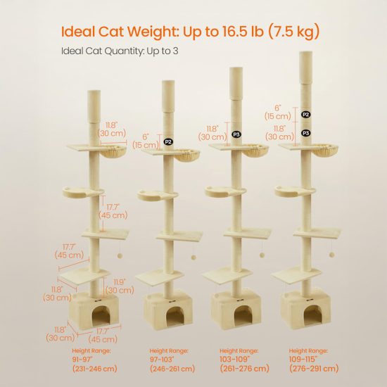 4719881-center-5.jpg