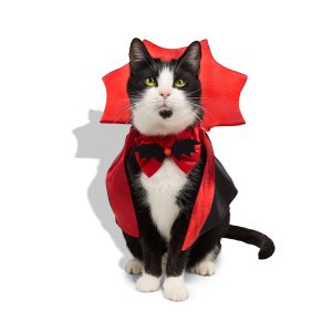 Petco Dracula Vampire Cat Halloween Costume