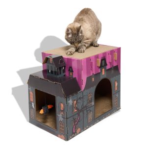 Petco Halloween Cat Scratch Haunted House