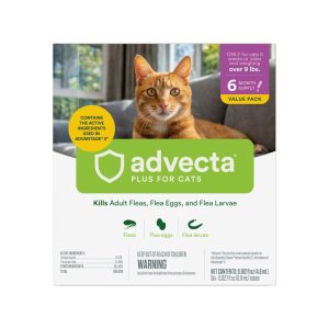 Advecta Plus Topical for Cats Over 9 Pounds