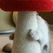 4765730-center-5.jpg