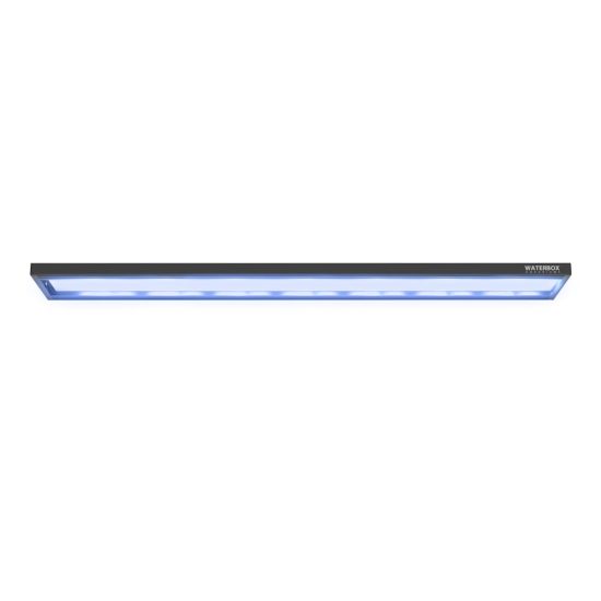 4774409-center-1.jpg