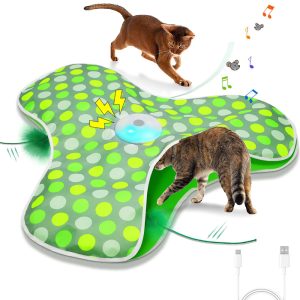PawsPik Green Interactive Hide & Seek Concealed Feather Cat Toy