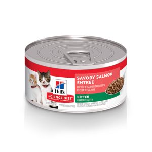 Hill's Science Diet Kitten Savory Salmon Entree Canned Wet Cat Food